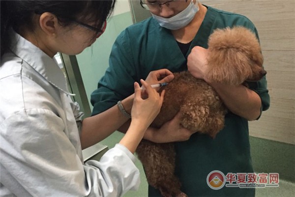 美联众合动物医院加盟